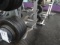 100LB CURL BAR