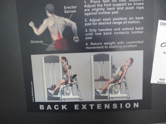 LIFE FITNESS BACK EXTENSION MACHINE