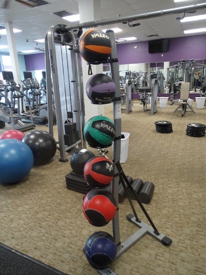 2LB, 4LB, 6LB, 10LB & 12LB MEDICINE BALLS & RACK X1