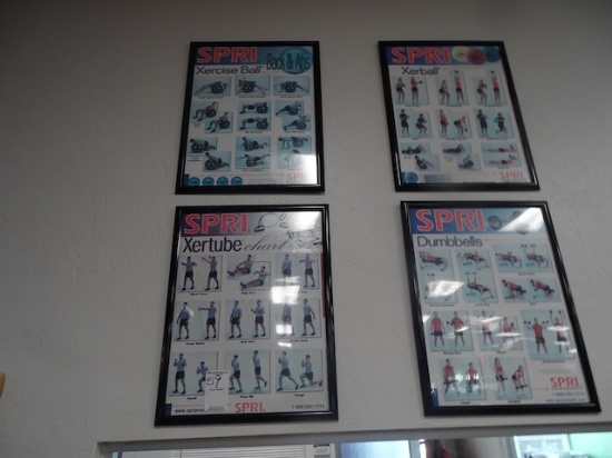 SPRI WALL CHARTS X1