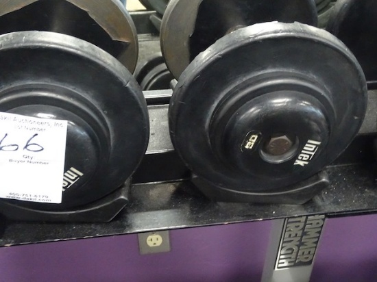 30LB DUMBBELLS (X2)