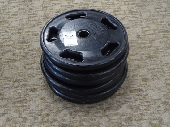 45LB WEIGHTS (X6)