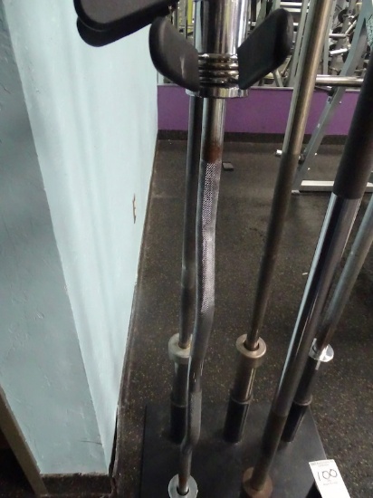 48” CURL BAR