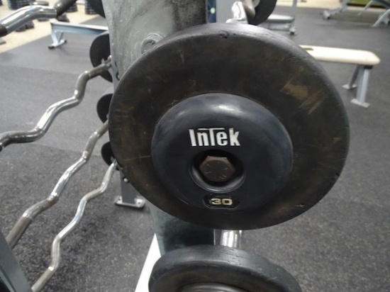 30LB CURL BAR