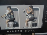 LIFE FITNESS BICEPS CURL MACHINE