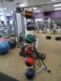 2LB, 4LB, 6LB, 10LB & 12LB MEDICINE BALLS & RACK X1