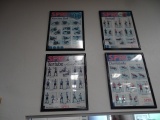 SPRI WALL CHARTS X1