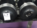45LB DUMBBELLS (X2)