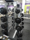 CURL BAR RACK HOLDS 10 BARS