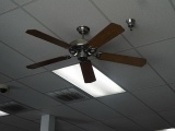 CEILING FAN