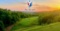 Patriot Golf Club - round of golf for 3