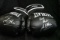 Boxing Gloves autographed by Sean O'Grady