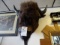 BUFFALO HEAD