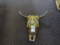 SCULLS AND HORNS (X12)