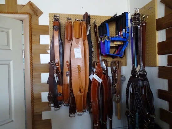 HORSE TACK IN CORNER OF CENTER ROOM