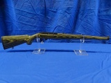 RUGER 22LR SIMI AUTO MOD:10/22