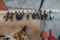 SPRING CLAMPS (X12)
