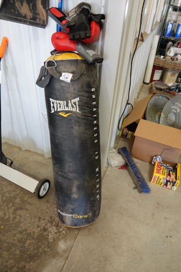 PUNCHING BAG W/GLOVES