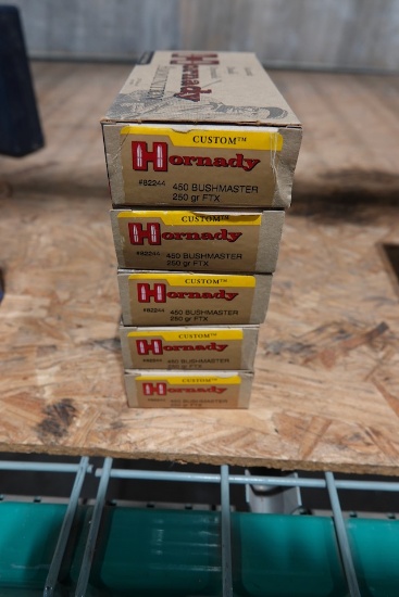 HORNADY CUSTOM 450 BUSHMASTER 250GR FTX 20 PER BOX (X5)