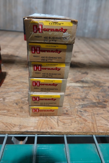 HORNADY CUSTOM 450 BUSHMASTER 250GR FTX 20 PER BOX (X6)