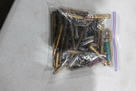 BAG W/DIFFERENT AMMUNITION 38 SPECIAL, 30-06, 270 WIN, 380 AUTO, 32-20, .22 & 28 GA.