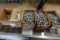 BOX OF ASSORTED SOCKETS (X5)