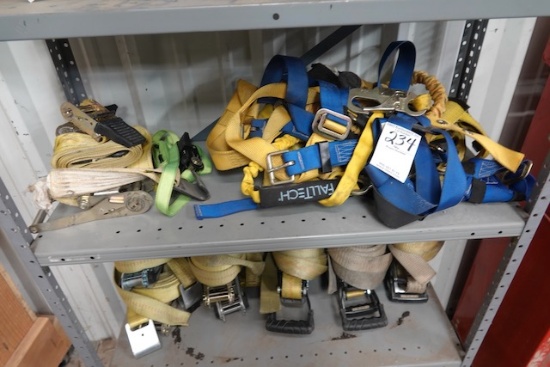HARNESS STRAPS X1