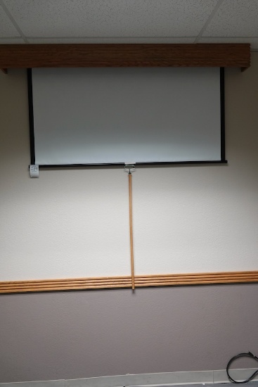PROJECTOR SCREEN