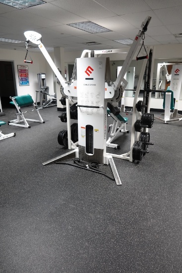 FREEMOTION CABLE CROSS MACHINE & CYBEX FREE WEIGHT MACHINE (X2)