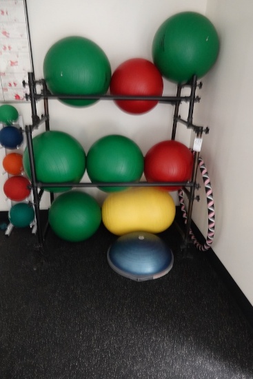 EXERCISE BALLS & RACK X1