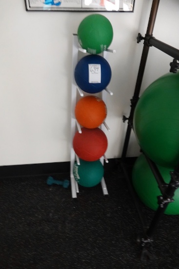 WEIGHTED BALLS & RACK X1