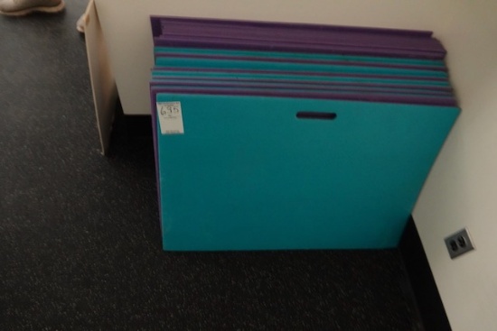 WORKOUT MATS X1
