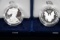 2019 FINE SILVER $1 AMERICAN EAGLE PROOF COIN (X10)