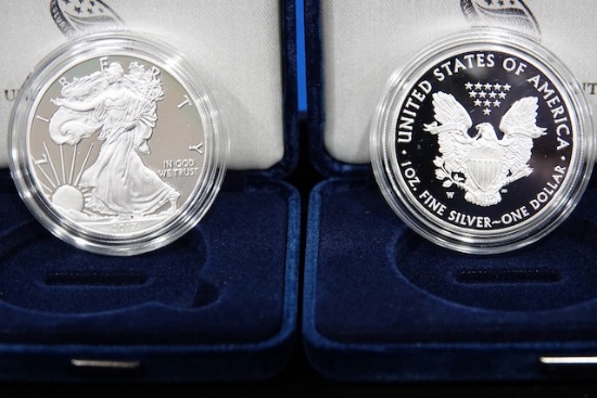 2017 FINE SILVER $1 AMERICAN EAGLE PROOF COIN (X12)