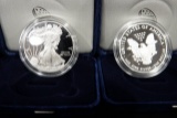 2016 FINE SILVER $1 AMERICAN EAGLE PROOF COIN (X10)