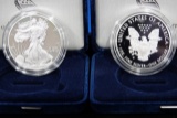 2017 FINE SILVER $1 AMERICAN EAGLE PROOF COIN (X12)