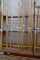 ¾” COVE 262’ X1
