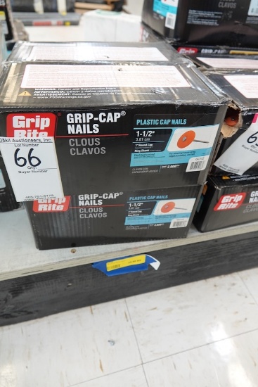 BOX OF 1 ½” PLASTIC CAP NAILS (X2)