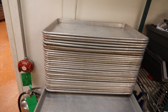 HALF SIZE SHEE PANS (X29)