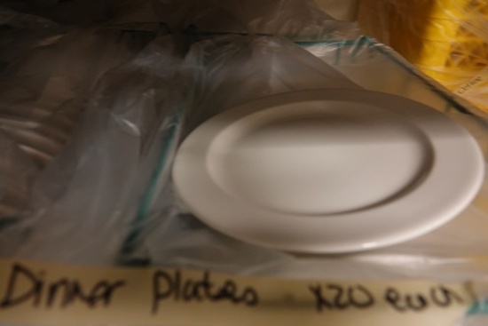 DINNER PLATES APPROX 240 PCS X1