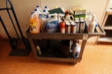 CLEANING SUPPLIES X1