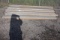 BUNDLE OF STEEL PIPE 10' STICKS 2