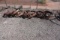 METAL WAGON & BUGGY WHEELS (X8)