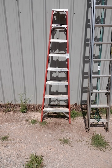 8’ Fiberglass Ladder