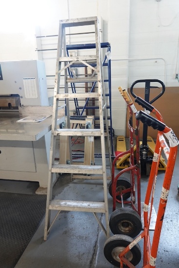 6’ ALUMINUM LADDER