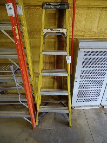 Warner 6’ Fiberglass Step Ladder