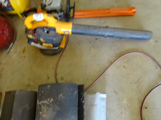 Gasoline Blower