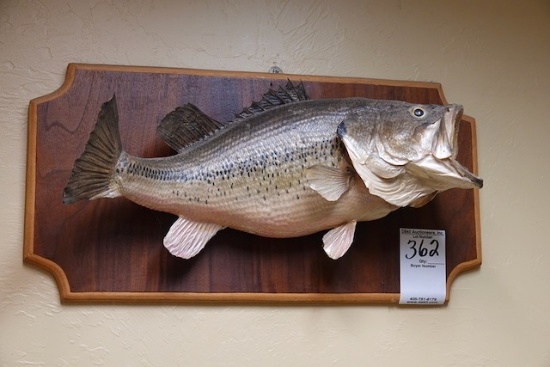 FISH MOUNT