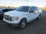 2009 FORD F-150 PICKUP