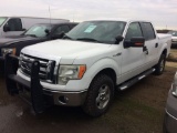 2010 FORD F150 XLT